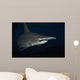 Hawaii, Scalloped hammerhead shark on the ocean floor Wall Mural