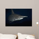 Hawaii, Scalloped hammerhead shark on the ocean floor Wall Mural