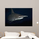 Hawaii, Scalloped hammerhead shark on the ocean floor Wall Mural