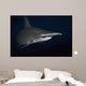 Hawaii, Scalloped hammerhead shark on the ocean floor Wall Mural