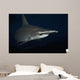 Hawaii, Scalloped hammerhead shark on the ocean floor Wall Mural