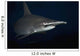 Hawaii, Scalloped hammerhead shark on the ocean floor Wall Mural