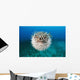 Hawaii, The spotted porcupinefish floating in deep blue pacific waters Wall Mural