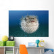 Hawaii, The spotted porcupinefish floating in deep blue pacific waters Wall Mural