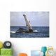 Hawaii, Humpback whale raises its pectoral fin above the surface Wall Mural