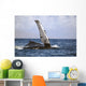 Hawaii, Humpback whale raises its pectoral fin above the surface Wall Mural