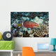 Hawaii, Ringtail wrasse swimming over a coral reef Wall Mural