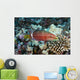 Hawaii, Ringtail wrasse swimming over a coral reef Wall Mural