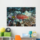 Hawaii, Ringtail wrasse swimming over a coral reef Wall Mural