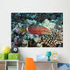 Hawaii, Ringtail wrasse swimming over a coral reef Wall Mural