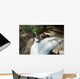 A forest waterfall Wall Mural