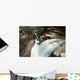 A forest waterfall Wall Mural