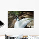 A forest waterfall Wall Mural