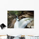 A forest waterfall Wall Mural