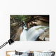 A forest waterfall Wall Mural