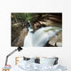 A forest waterfall Wall Mural