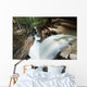 A forest waterfall Wall Mural