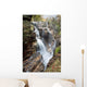 A forest waterfall Wall Mural