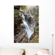 A forest waterfall Wall Mural