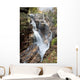 A forest waterfall Wall Mural