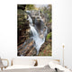 A forest waterfall Wall Mural