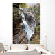 A forest waterfall Wall Mural