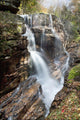 A forest waterfall Wall Mural