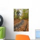 Path in forest during autumn Wall Mural