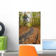 Path in forest during autumn Wall Mural