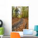 Path in forest during autumn Wall Mural