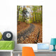 Path in forest during autumn Wall Mural