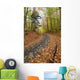 Path in forest during autumn Wall Mural