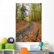 Path in forest during autumn Wall Mural