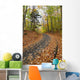 Path in forest during autumn Wall Mural