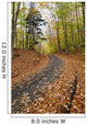 Path in forest during autumn Wall Mural