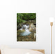 A rocky riverbed and waterfall Wall Mural