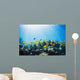 School of Yellow Tangs in the Hulupoe Bay Marine Preserve Wall Mural