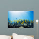 School of Yellow Tangs in the Hulupoe Bay Marine Preserve Wall Mural