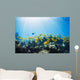 School of Yellow Tangs in the Hulupoe Bay Marine Preserve Wall Mural