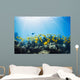 School of Yellow Tangs in the Hulupoe Bay Marine Preserve Wall Mural