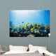 School of Yellow Tangs in the Hulupoe Bay Marine Preserve Wall Mural