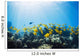 School of Yellow Tangs in the Hulupoe Bay Marine Preserve Wall Mural