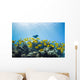 School of Yellow Tangs in the Hulupoe Bay Marine Preserve Wall Mural