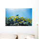 School of Yellow Tangs in the Hulupoe Bay Marine Preserve Wall Mural