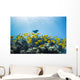 School of Yellow Tangs in the Hulupoe Bay Marine Preserve Wall Mural
