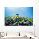 School of Yellow Tangs in the Hulupoe Bay Marine Preserve Wall Mural