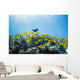 School of Yellow Tangs in the Hulupoe Bay Marine Preserve Wall Mural
