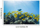 School of Yellow Tangs in the Hulupoe Bay Marine Preserve Wall Mural