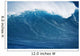 also known as 'Jaws' Wall Mural