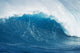 also known as 'Jaws' Wall Mural